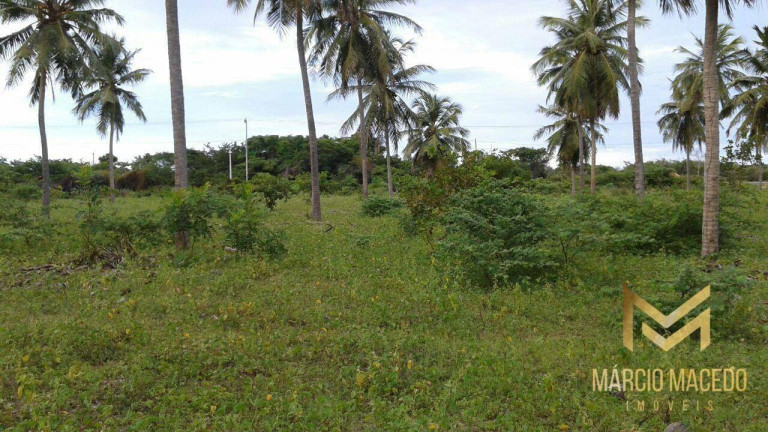 Imagem Terreno à Venda, 247.664 m² em Zona Rural - Beberibe Imagem Terreno à Venda, 247.664 m² em Zona Rural - Beberibe