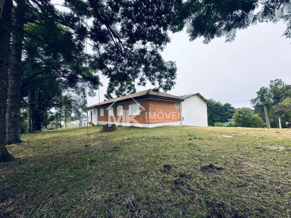 Imagem Chácara com 3 Quartos à Venda, 407 m² em Borda Do Campo (quatro Barras) Imagem Chácara com 3 Quartos à Venda, 407 m² em Borda Do Campo (quatro Barras)