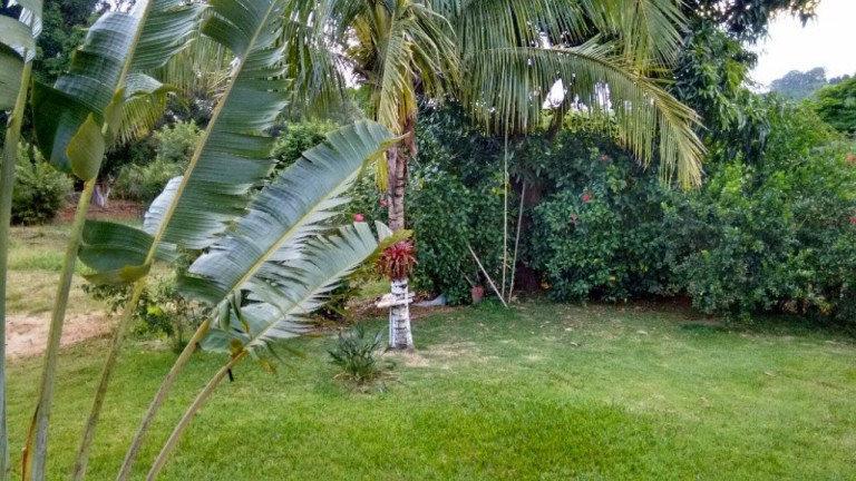 Imagem Imóvel com 2 Quartos à Venda, 500 m² em Rural - Limeira