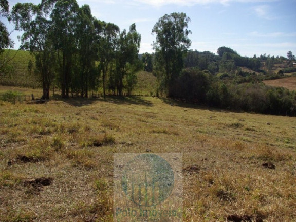 Imagem Imóvel com 2 Quartos à Venda, 665.000 m² em Zona Rural - Jacui