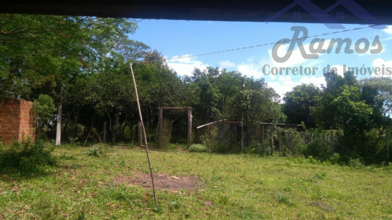 Imagem Imóvel com 3 Quartos à Venda, 20.000 m² em Itapua - Porto Alegre