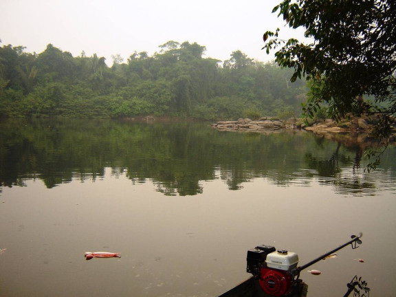 Imagem Fazenda à Venda,  em Sinop