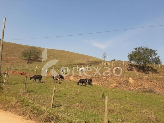 Imagem Chácara com 3 Quartos à Venda, 200 m² em Sao Germano - Paraibuna Imagem Chácara com 3 Quartos à Venda, 200 m² em Sao Germano - Paraibuna
