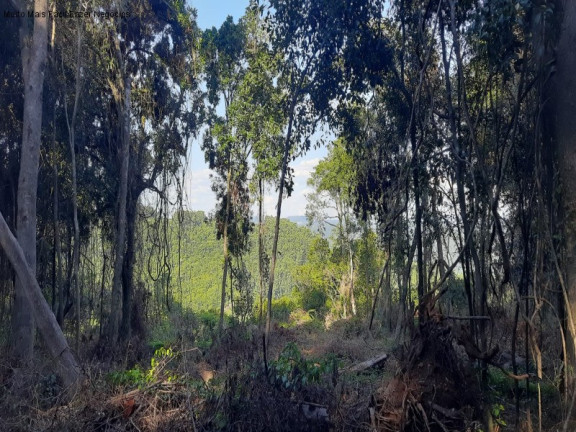 Imagem Terreno à Venda, 13.823 m² em Linha Olinda - Nova Petrópolis Imagem Terreno à Venda, 13.823 m² em Linha Olinda - Nova Petrópolis