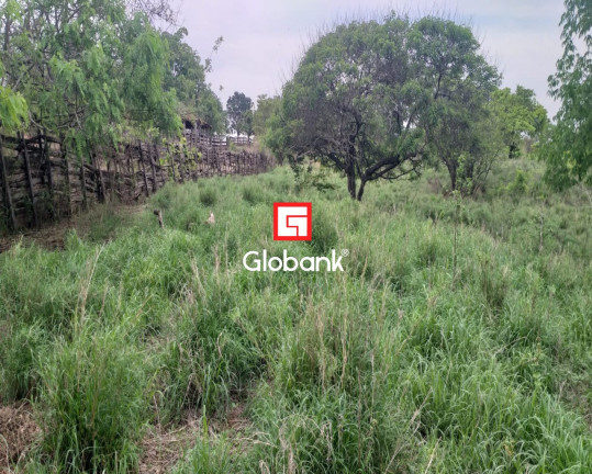 Imagem Imóvel à Venda, em Fazenda Gameleira - Montes Claros Imagem Imóvel à Venda, em Fazenda Gameleira - Montes Claros