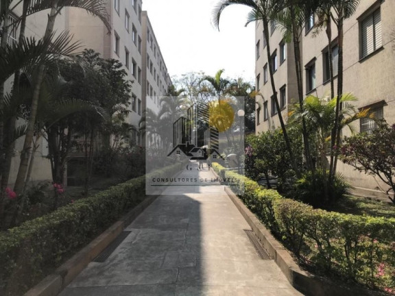 Imagem Apartamento com 2 Quartos à Venda, 55 m² em Butantã - São Paulo Imagem Apartamento com 2 Quartos à Venda, 55 m² em Butantã - São Paulo