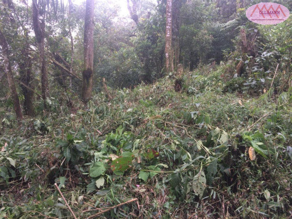 Imagem Terreno à Venda, 1.695 m² em Chácara Carreiras - Santo André Imagem Terreno à Venda, 1.695 m² em Chácara Carreiras - Santo André