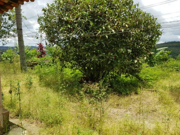 Imagem Chácara com 2 Quartos à Venda, 60 m² em Carmo Messias - Ibiúna