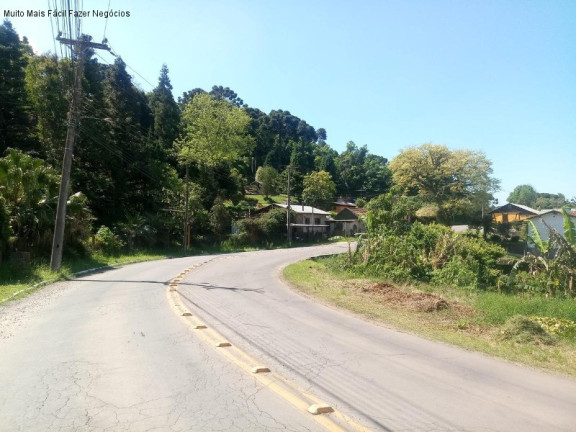 Imagem Terreno à Venda, em Vila Olinda - Nova Petrópolis Imagem Terreno à Venda, em Vila Olinda - Nova Petrópolis