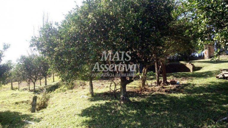 Imagem Imóvel à Venda, 1.614 m² em Santa Cruz Da Concórdia - Taquara Imagem Imóvel à Venda, 1.614 m² em Santa Cruz Da Concórdia - Taquara