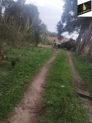 Imagem Imóvel com 3 Quartos à Venda, 48.400 m² em Colônia Murici - São José Dos Pinhais