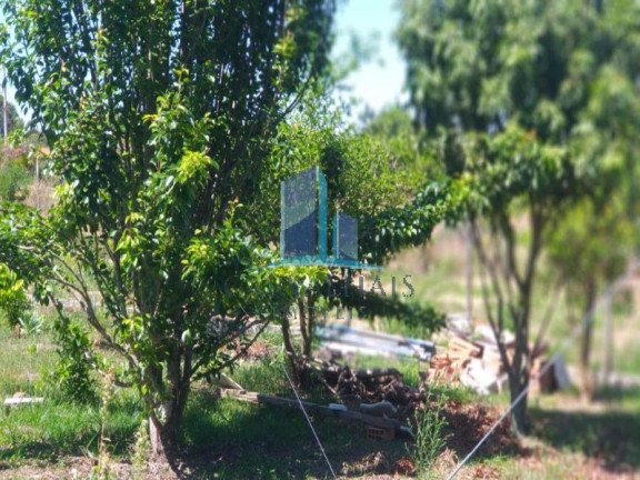 Imagem Imóvel com 2 Quartos à Venda, 2.500 m² em Andiroba - Esmeraldas