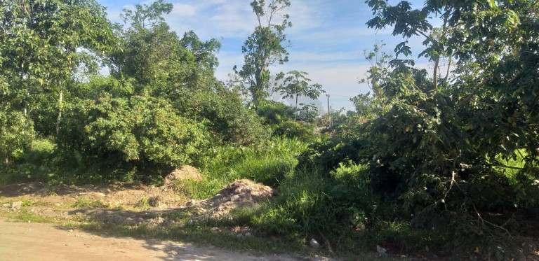 Imagem Terreno à Venda, 250 m² em Itanhaém Imagem Terreno à Venda, 250 m² em Itanhaém