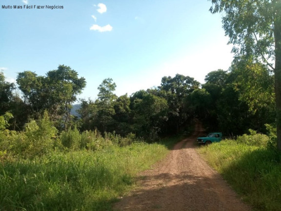 Imagem Terreno à Venda, 3 m² em Fazenda Pirajá - Nova Petrópolis