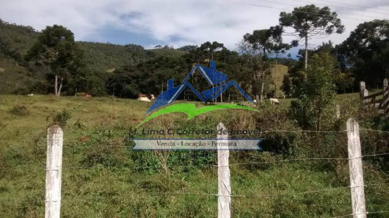 Imagem Fazenda à Venda, 55 m² em Joanópolis Imagem Fazenda à Venda, 55 m² em Joanópolis