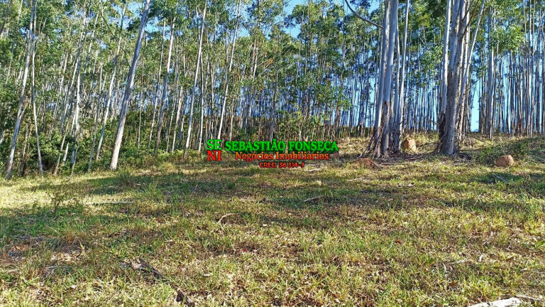 Imagem Chácara à Venda, 2 m² em Centro - Paraibuna Imagem Chácara à Venda, 2 m² em Centro - Paraibuna