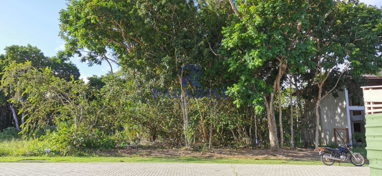 Imagem Terreno à Venda, 600 m² em Praia Do Forte - Mata De São João Imagem Terreno à Venda, 600 m² em Praia Do Forte - Mata De São João