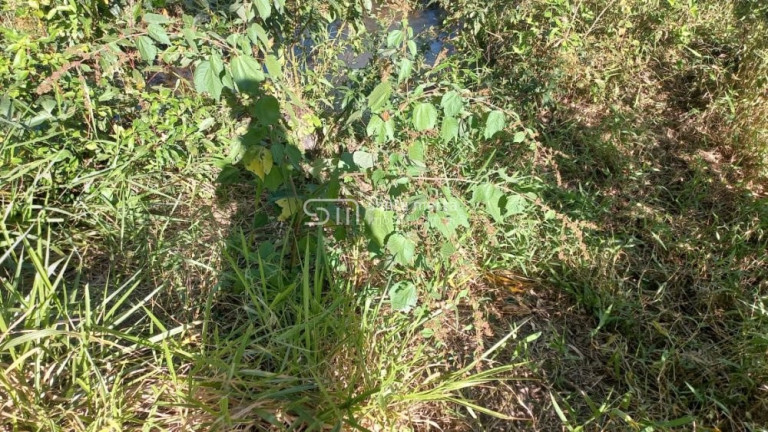 Imagem Imóvel à Venda, 1.477.200 m² em Bairro Bom Retiro - Bananal