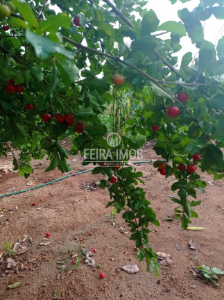 Imagem Fazenda à Venda, em Tiquaruçu - Feira De Santana Imagem Fazenda à Venda, em Tiquaruçu - Feira De Santana