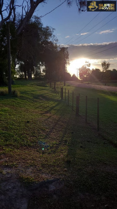Imagem Imóvel com 3 Quartos à Venda, 20.000 m² em Fragata - Pelotas Imagem Imóvel com 3 Quartos à Venda, 20.000 m² em Fragata - Pelotas