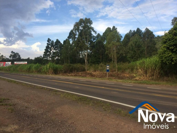 Imagem Imóvel à Venda, 10.211 m² em Linha Araripe - Nova Petrópolis
