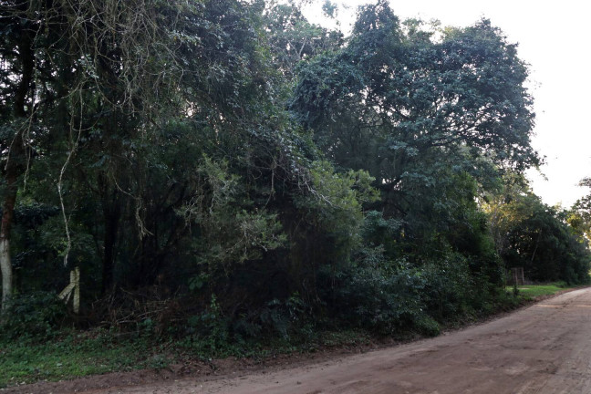 Imagem Terreno à Venda, 1.350 m² em águas Claras - Viamão Imagem Terreno à Venda, 1.350 m² em águas Claras - Viamão