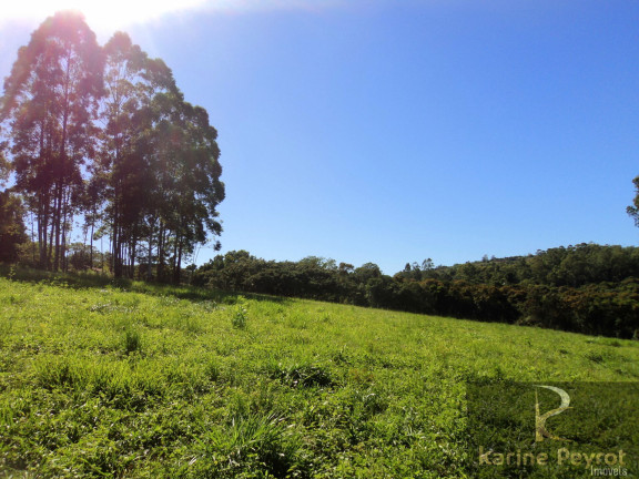 Imagem Terreno à Venda, 3.000 m² em Fazenda São Borja - São Leopoldo Imagem Terreno à Venda, 3.000 m² em Fazenda São Borja - São Leopoldo