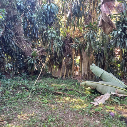 Imagem Imóvel com 6 Quartos à Venda, 54 m² em Bairro Oasis Paulista - Rio Grande Da Serra Imagem Imóvel com 6 Quartos à Venda, 54 m² em Bairro Oasis Paulista - Rio Grande Da Serra
