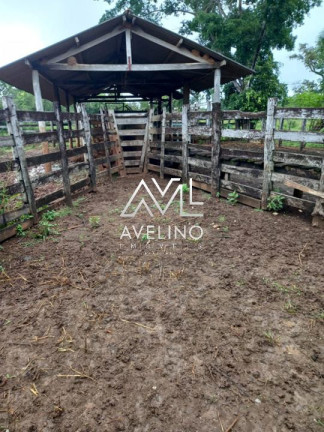 Imagem Imóvel com 1 Quarto à Venda, 98 m² em Zona Rural - Bodoquena Imagem Imóvel com 1 Quarto à Venda, 98 m² em Zona Rural - Bodoquena