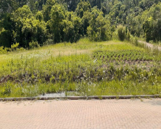 Imagem Imóvel à Venda, 970 m² em Centro - Linha Nova