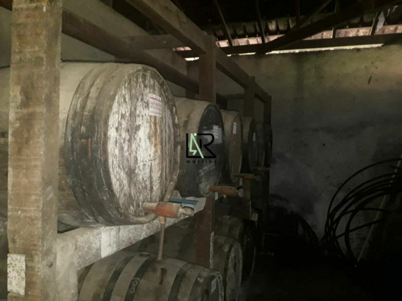 Imagem Imóvel com 4 Quartos à Venda, 250.000 m² em Centro - Caetanópolis