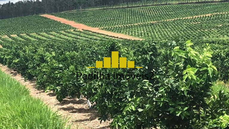 Imagem Chácara à Venda, 350 m² em Marília Imagem Chácara à Venda, 350 m² em Marília