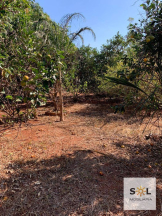 Imagem Chácara com 2 Quartos à Venda, 294.000 m² em Zona Rural - Bela Vista De Goiás Imagem Chácara com 2 Quartos à Venda, 294.000 m² em Zona Rural - Bela Vista De Goiás