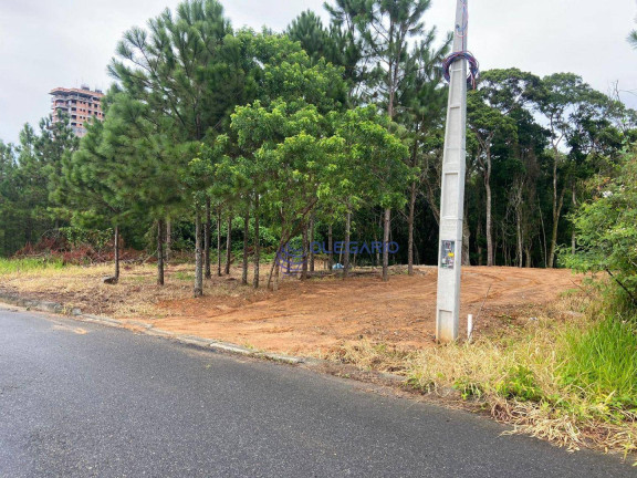 Terreno à Venda, 1.995 m² em Centro - Penha