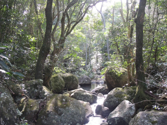 Imagem Terreno à Venda, 20.000 m² em Macacu - Garopaba Imagem Terreno à Venda, 20.000 m² em Macacu - Garopaba