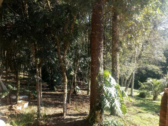 Imagem Casa com 3 Quartos à Venda, 296 m² em Vale Verde - Nova Petrópolis Imagem Casa com 3 Quartos à Venda, 296 m² em Vale Verde - Nova Petrópolis