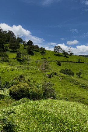 Imagem Chácara à Venda, em Paiol Velho - São Bento Do Sapucaí Imagem Chácara à Venda, em Paiol Velho - São Bento Do Sapucaí