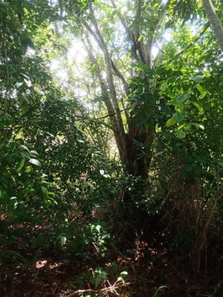 Imagem Terreno à Venda, 950 m² em Gamboa - Vera Cruz Imagem Terreno à Venda, 950 m² em Gamboa - Vera Cruz