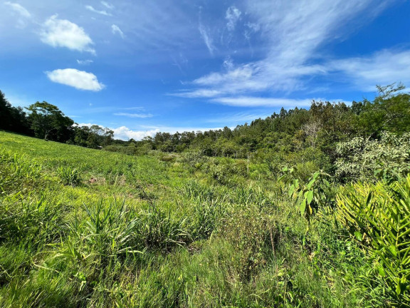 Imagem Chácara à Venda, 2 m² em Morungava - Gravataí Imagem Chácara à Venda, 2 m² em Morungava - Gravataí
