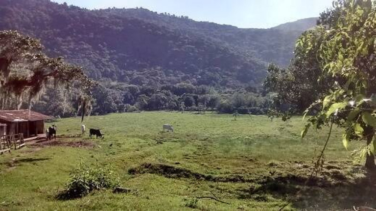 Imagem Chácara à Venda, 4.800 m² em São João Do Rio Vermelho - Florianópolis Imagem Chácara à Venda, 4.800 m² em São João Do Rio Vermelho - Florianópolis