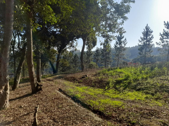 Imagem Chácara à Venda, 5.850 m² em Centro - Ibiúna Imagem Chácara à Venda, 5.850 m² em Centro - Ibiúna