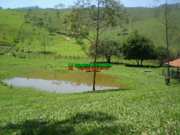 Chácara à Venda, 30.000 m² em Sob. Consulta - Monteiro Lobato