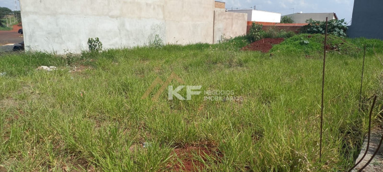Imagem Terreno à Venda, 266 m² em Centro - Cravinhos Imagem Terreno à Venda, 266 m² em Centro - Cravinhos
