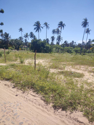 Imagem Terreno à Venda, 5.000 m² em Icaraizinho De Amontada - Amontada Imagem Terreno à Venda, 5.000 m² em Icaraizinho De Amontada - Amontada
