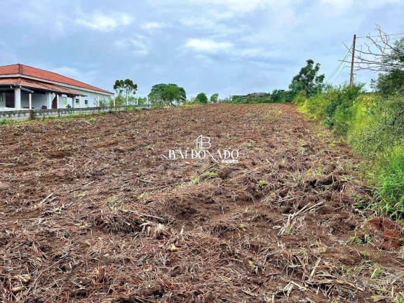 Terreno à Venda, 1.800 m² em Centro - Toledo