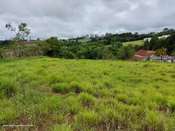 Imagem Terreno à Venda, em Bairro Da Vargem Do Salto - Ibiúna Imagem Terreno à Venda, em Bairro Da Vargem Do Salto - Ibiúna