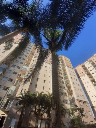 Imagem Apartamento com 3 Quartos à Venda, 74 m² em Centro - Diadema Imagem Apartamento com 3 Quartos à Venda, 74 m² em Centro - Diadema