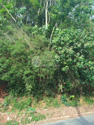 Imagem Terreno à Venda, 35.110 m² em Pilar Velho - Ribeirão Pires Imagem Terreno à Venda, 35.110 m² em Pilar Velho - Ribeirão Pires