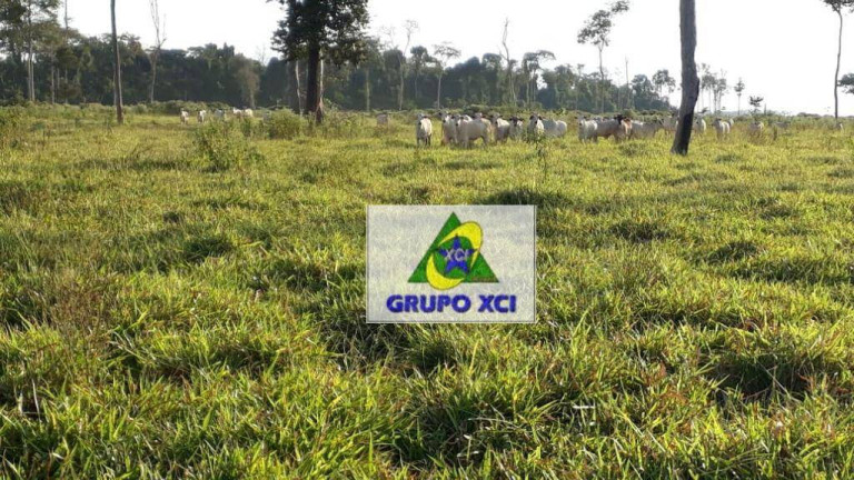 Imagem Fazenda à Venda, 10.527.000 m² em Zona Rural - Juina Imagem Fazenda à Venda, 10.527.000 m² em Zona Rural - Juina