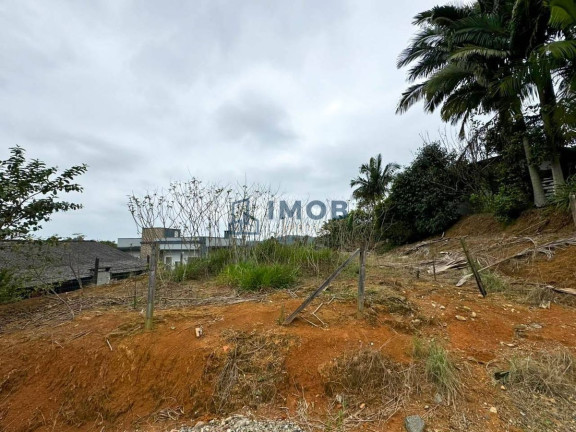 Terreno à Venda, 461 m² em Corticeira - Guaramirim